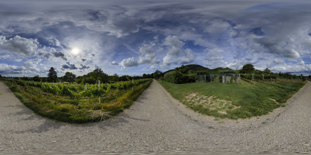 /posts/dossenheim-vineyards/preview.jpg /posts/dossenheim-vineyards/preview.jpg